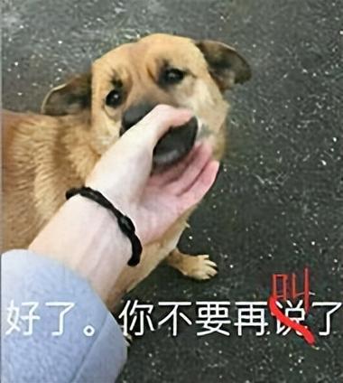 别人骂你狗暗示什么