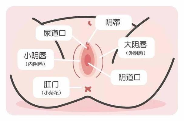 女性私处按摩一般要几天