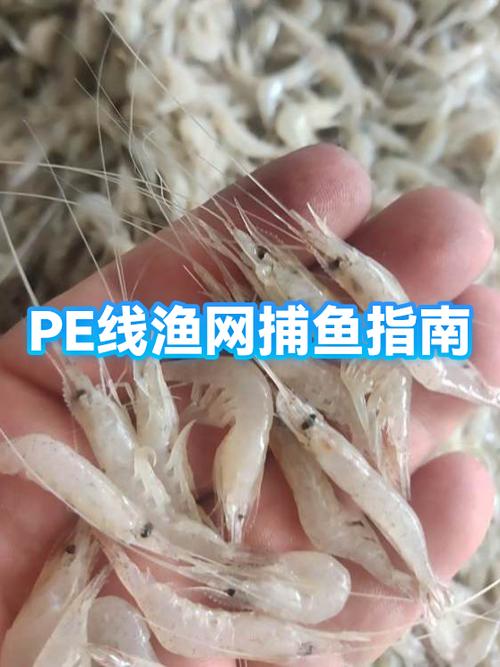 4号pe线能钓多重的鱼缩略图