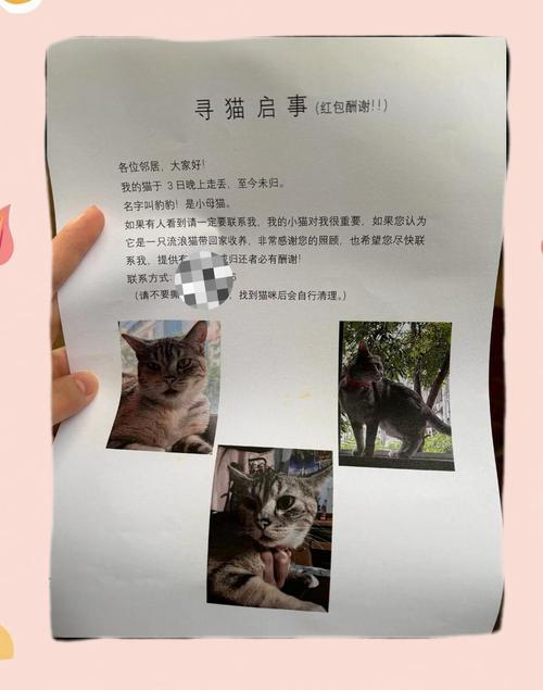 捡了别人手机通过支付宝转账
