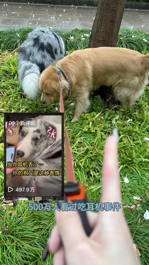 闺蜜的金毛小说