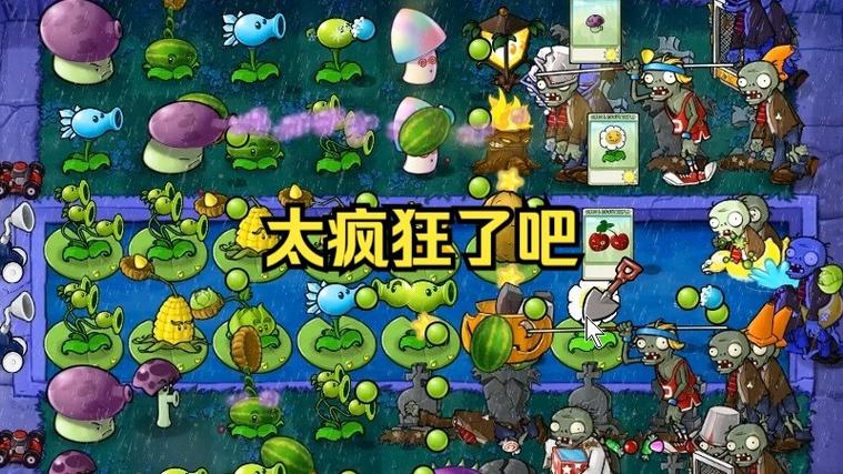 植物大战僵尸种子雨