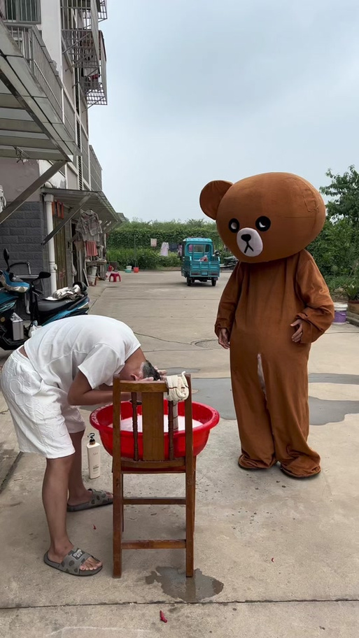 皮皮熊搞笑合集