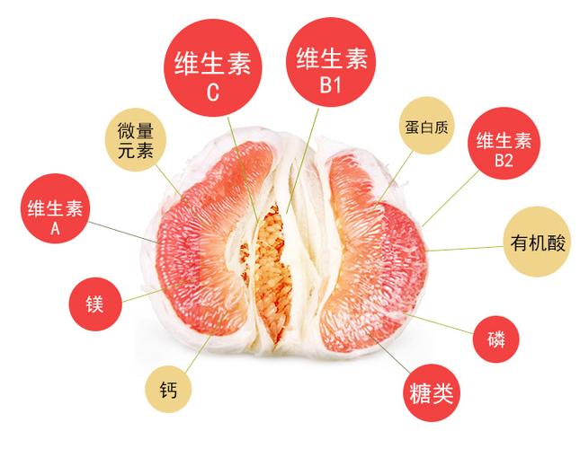 黄柚和红柚子有何区别