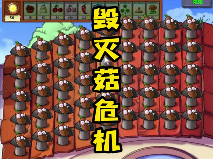 植物大战僵尸怎么买格子