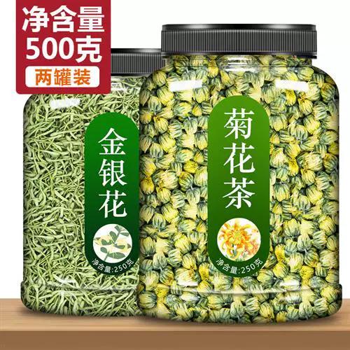 金银花胎菊能天天喝吗