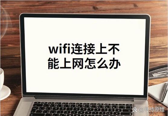 网络连接但是不能上网