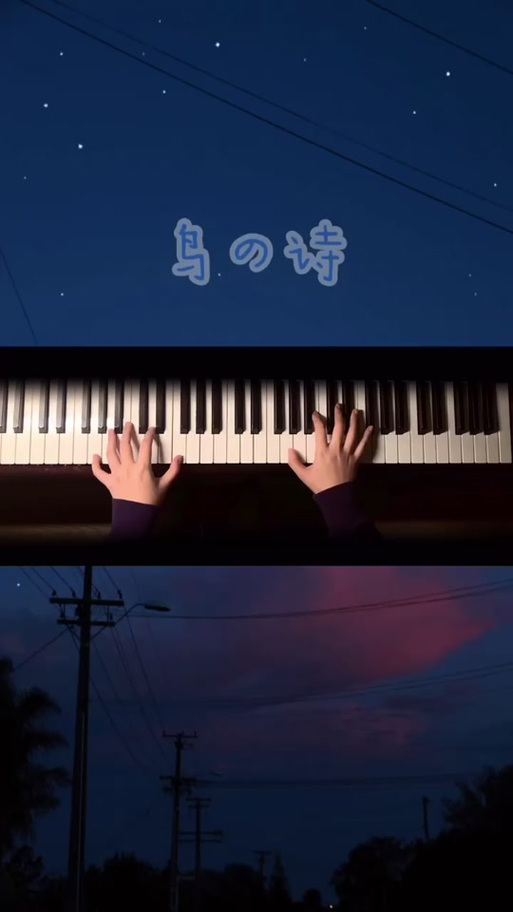 鸟之诗钢琴a叔