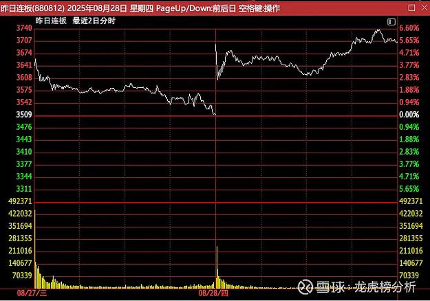 陈小群买入岩山科技