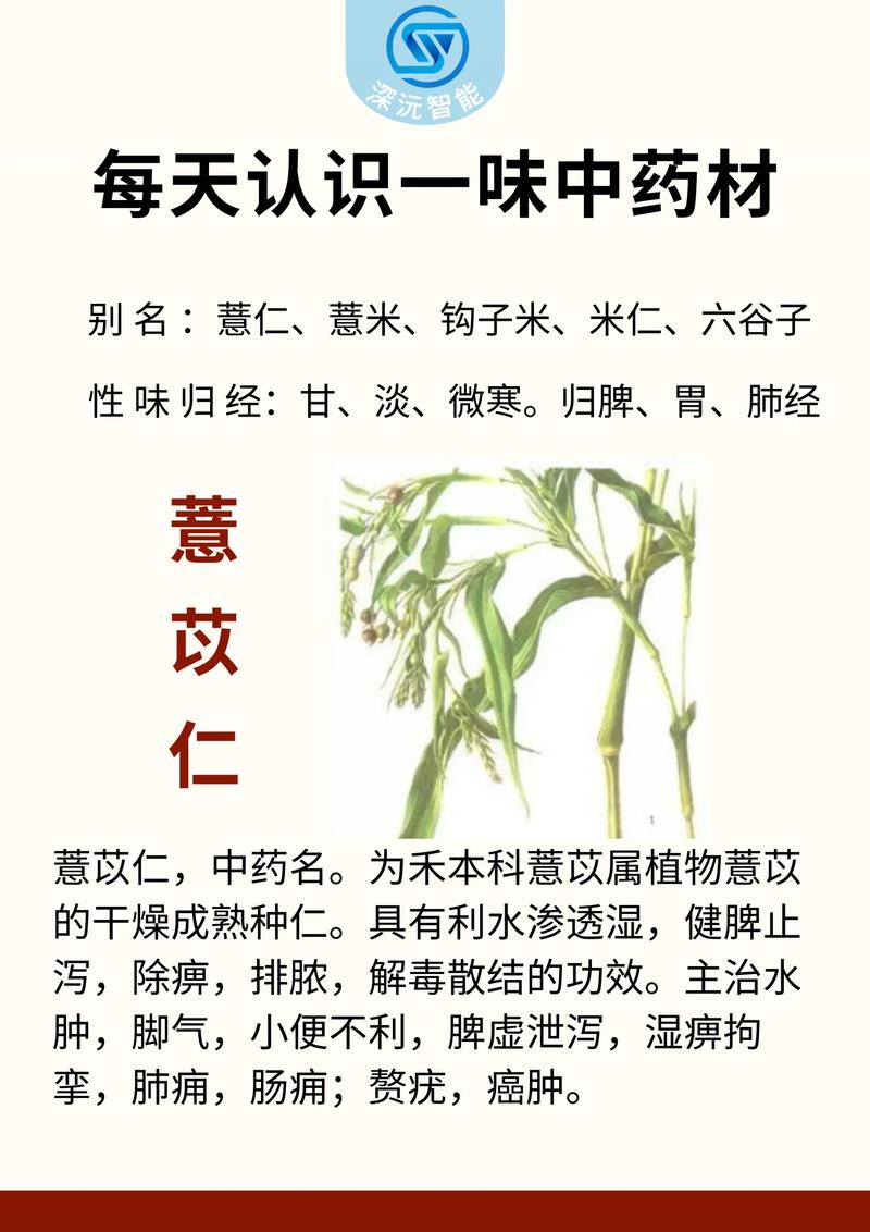 薏苡竹叶散 方歌截图