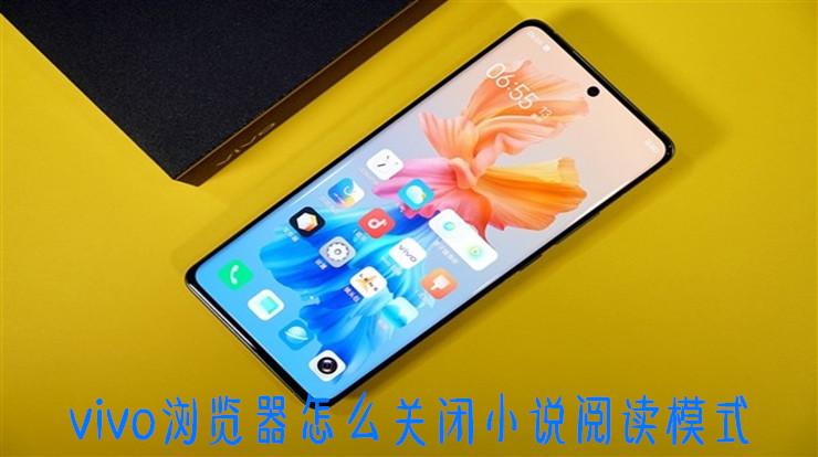 vivo阅读模式