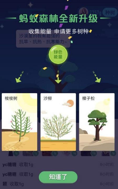 支付宝里面怎么领树
