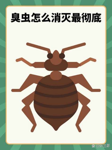 床虫怎么消灭
