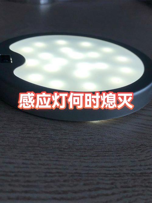 感应灯灭了又自动亮