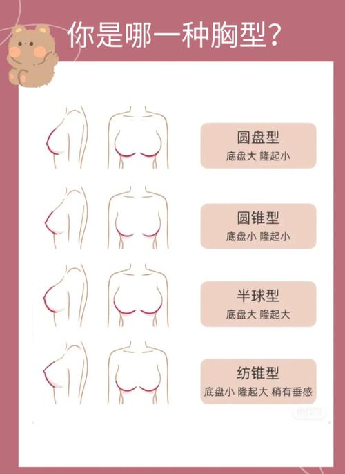 张馨予是什么胸型