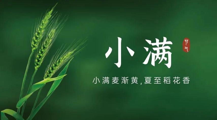 小满登录