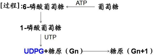 合成糖和天然糖