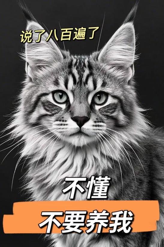 现代女主变成男主养的猫了
