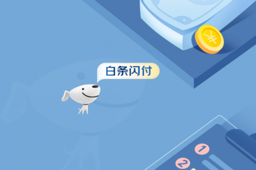 什么是白条闪付