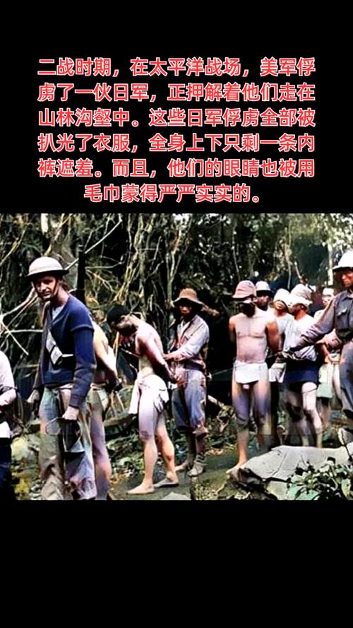 野人一共抓了几个俘虏被解救了几个图标