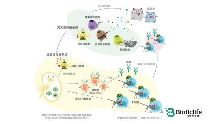 病毒载量和cd4哪个重要