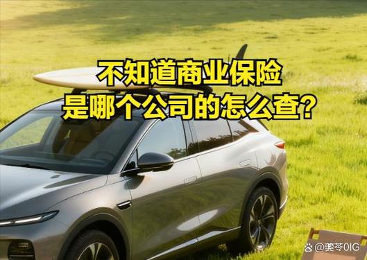 不知道保险公司是哪家怎么查