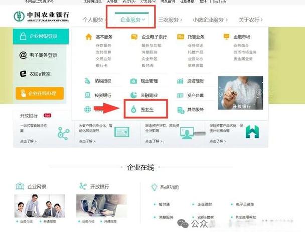个人企业年金查询app