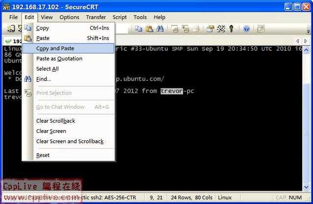 securecrt界面设置