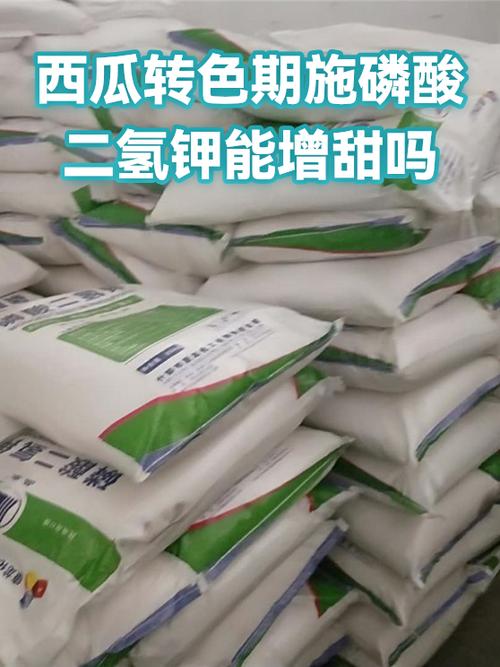 西瓜转靠谱吗游戏截图