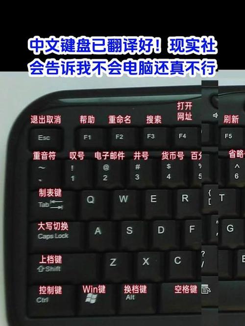 电脑怎么翻译截图
