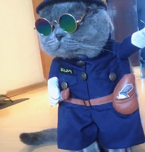 开门大吉黑猫警长变身