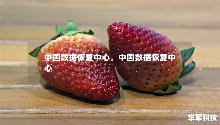 中国数据恢复中心游戏截图