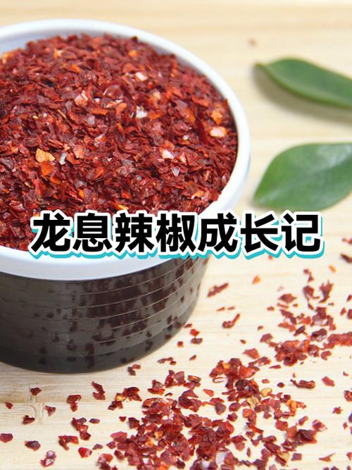 龙息辣椒