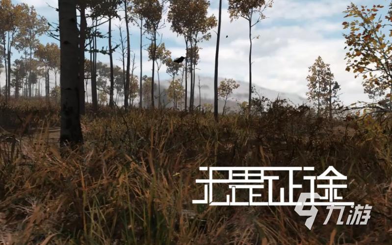 《抗美援朝模拟器》下载缩略图
