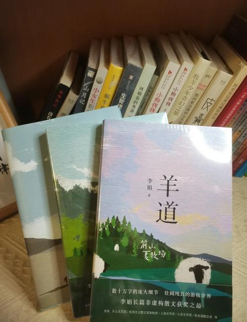 迷途羔羊找领路的光