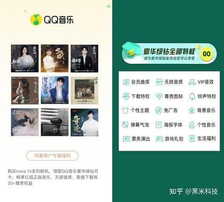 qq音乐领礼包显示没登陆