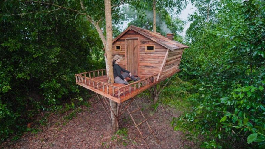 树上搭建小木屋