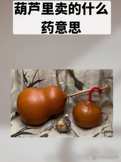 葫芦不知道买了什么药的意思
