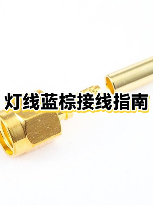 灯上蓝色线和棕色线哪个是火线游戏截图
