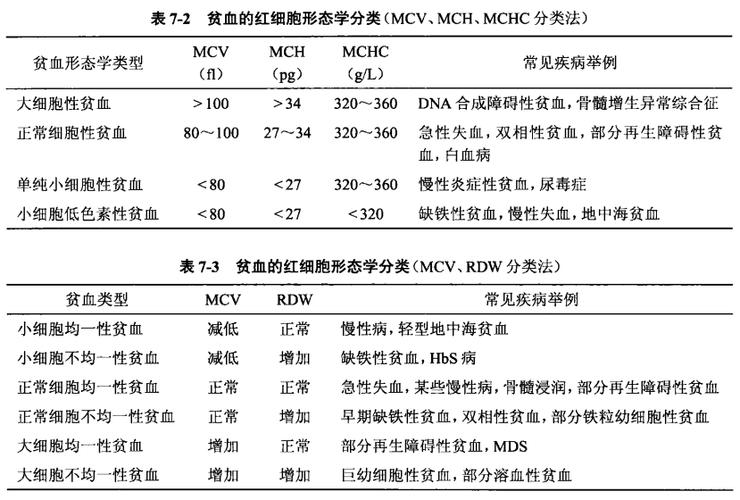 mch正常值