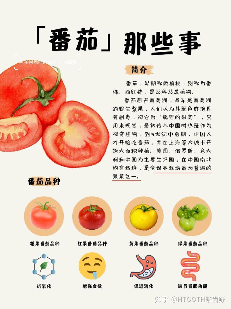 七叶西红柿最建议买吗