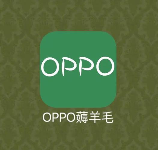 oppo权益查询