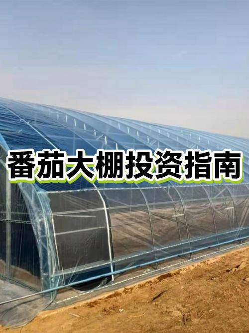 建一亩大棚多少钱