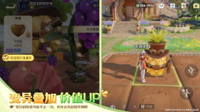 王者农场的装扮打排位的时候怎么关