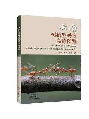 蚂蚁图鉴