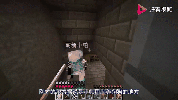 小帕解说我的世界1.17版全集