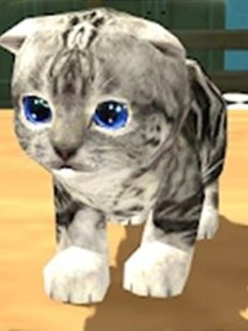 小猫模拟器无限金币版缩略图
