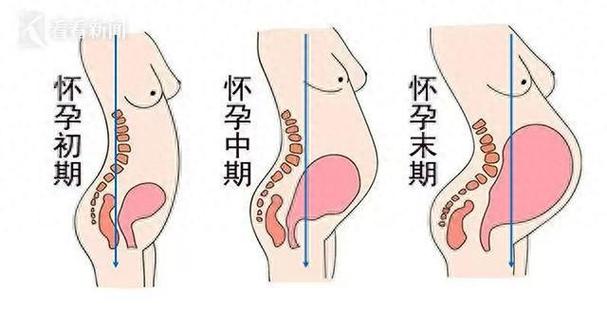 怀孕后缩略图