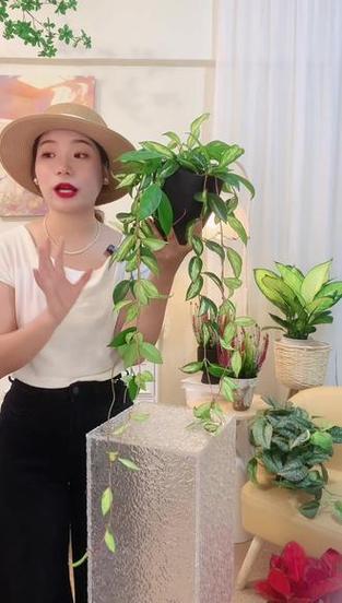 粉红香香