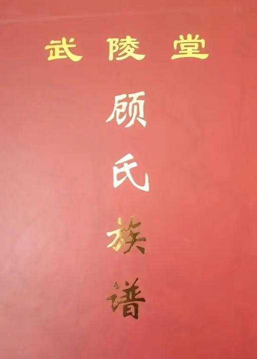 男主叫萧衍女主姓顾的小说游戏截图